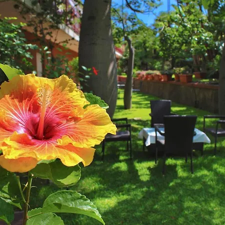 Apartament Il Signo Cocco Mare *